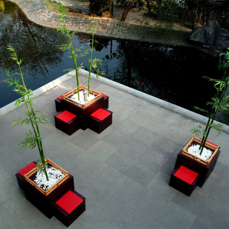 Bamboo Grove